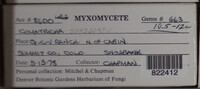 Image Associated With the Occurence